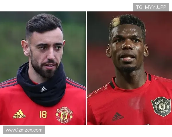 拳击观赛指南全面解析带你掌握赛事规则技巧与观赛乐趣